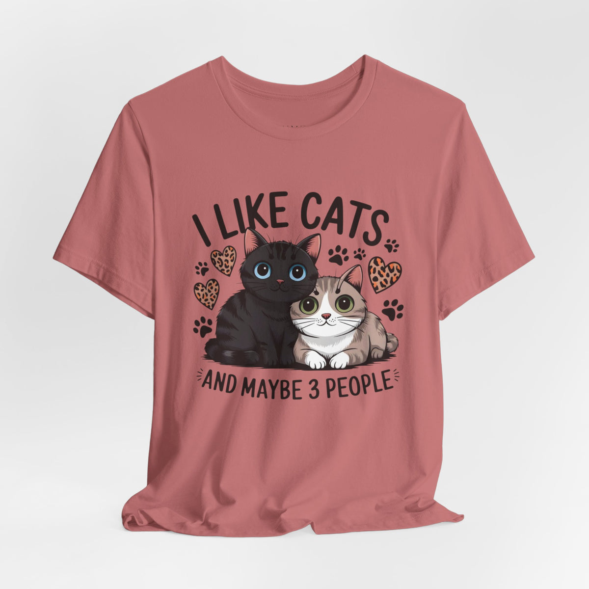 I Like Cats Tee â€” Cute Cat Lovers Shirt (â€œAnd Maybe 3 Peopleâ€)
