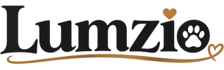 Lumzio wordmark logo
